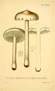 n216_w1150