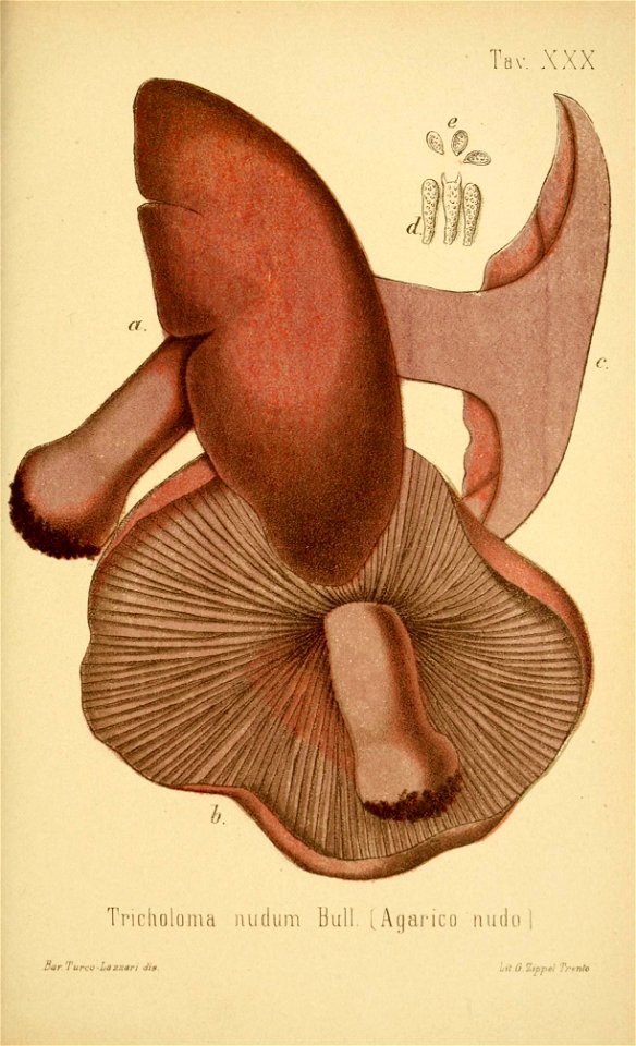 n214_w1150