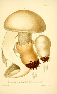 n154_w1150