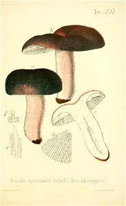 n302_w1150
