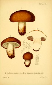 n212_w1150