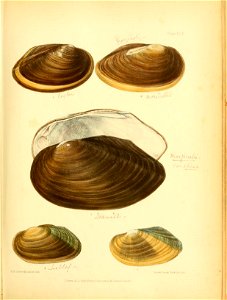 n178_w1150