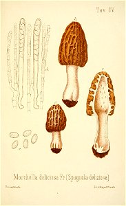 n376_w1150