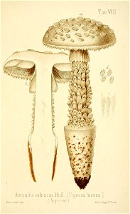 n166_w1150