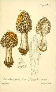 n374_w1150