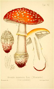 n162_w1150