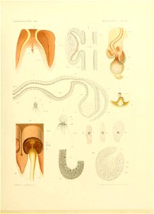 n120_w1150