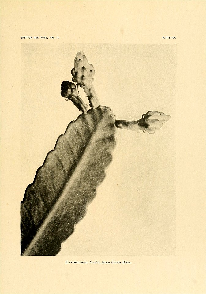 n256_w1150