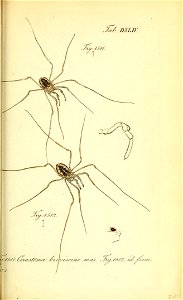 n154_w1150