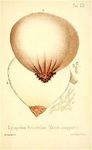 n388_w1150