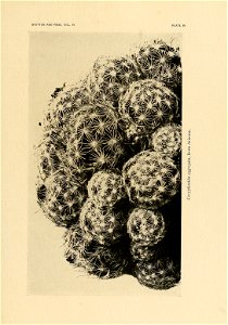 n66_w1150