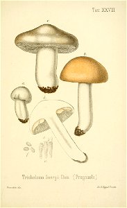 n208_w1150