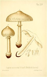 n178_w1150