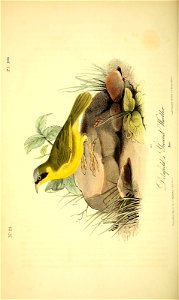 n153_w1150