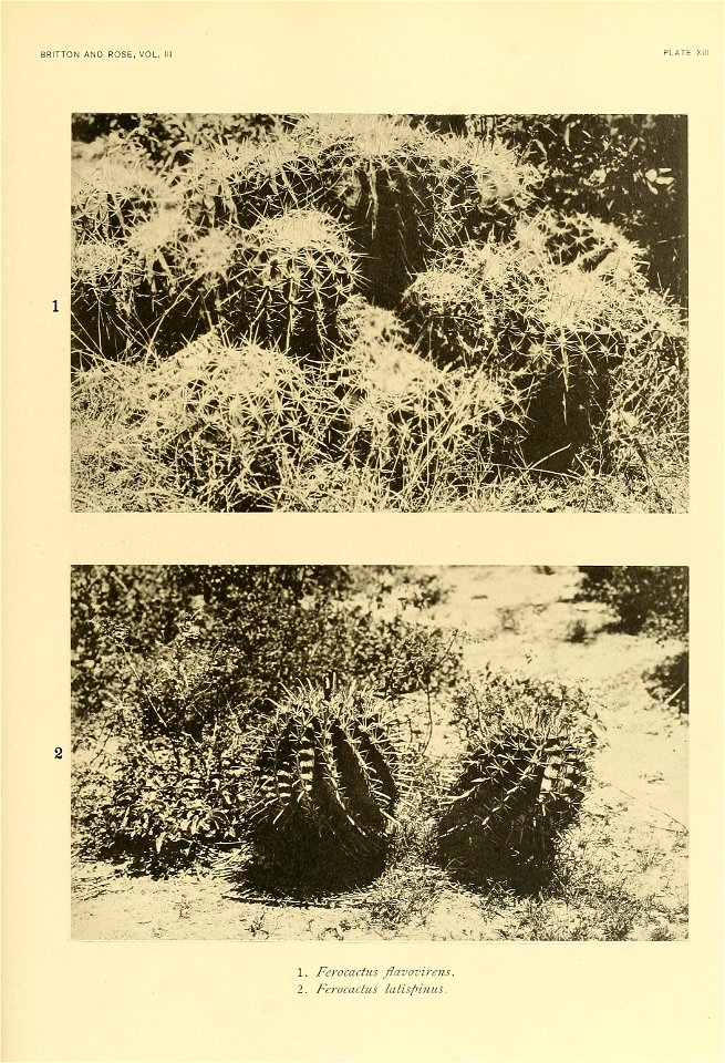 n164_w1150