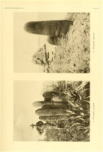 n156_w1150