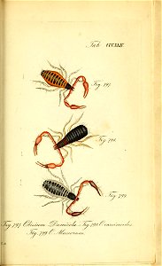 n186_w1150