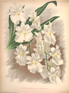 n82_w1150