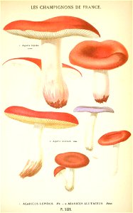 n580_w1150