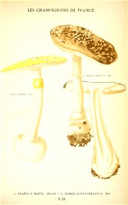 n528_w1150