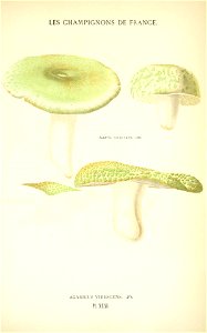 n584_w1150