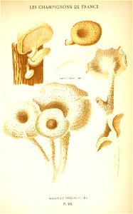 n554_w1150