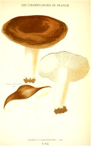 n582_w1150