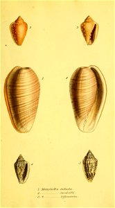 n144_w1150