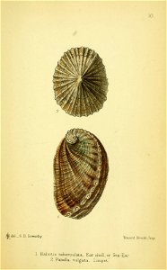 n258_w1150