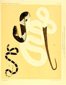 n46_w1150