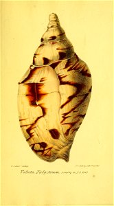 n148_w1150