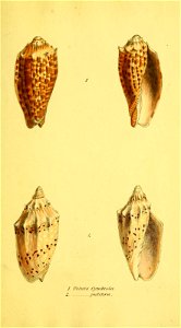 n146_w1150