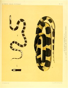 n44_w1150