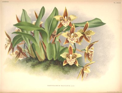 n69_w1150