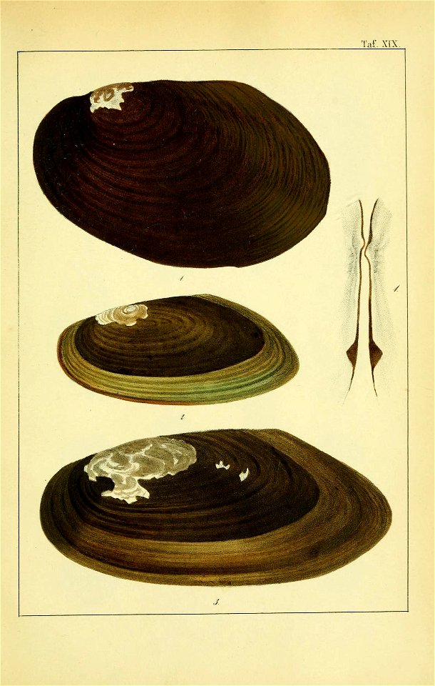 n172_w1150