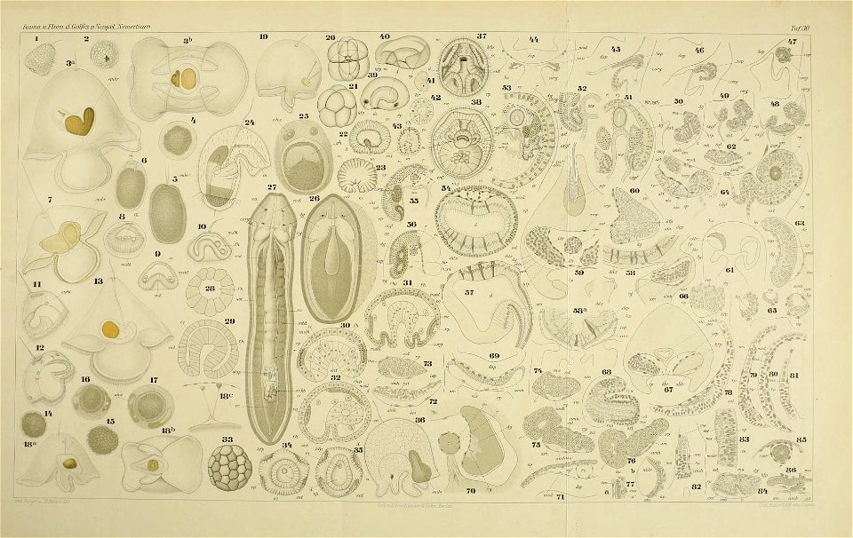 n126_w1150