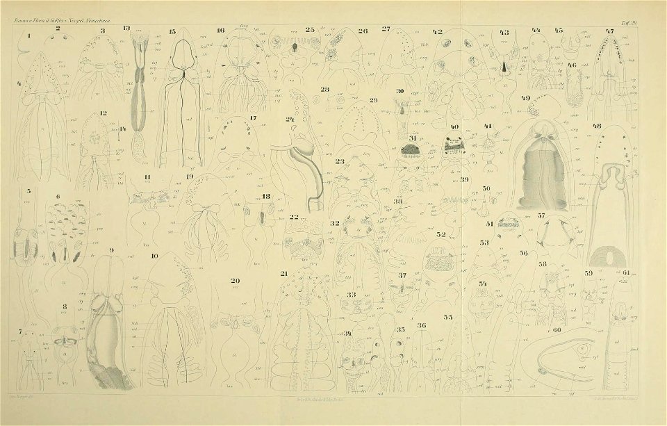 n122_w1150