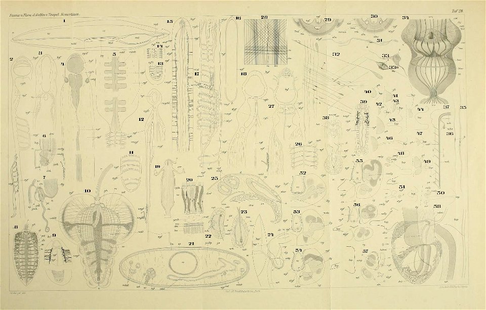 n118_w1150