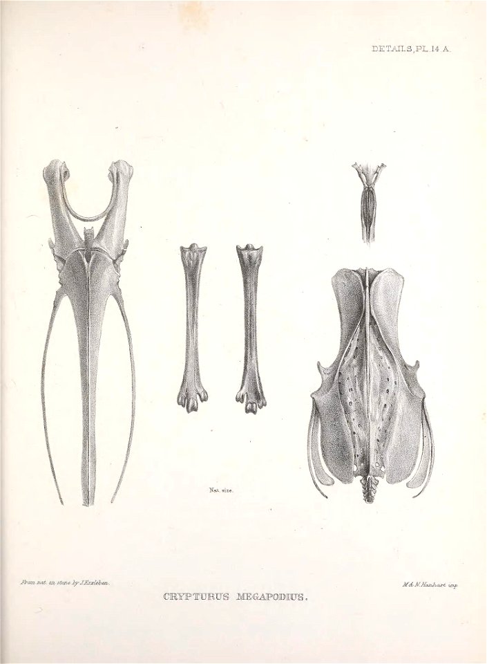 n168_w1150