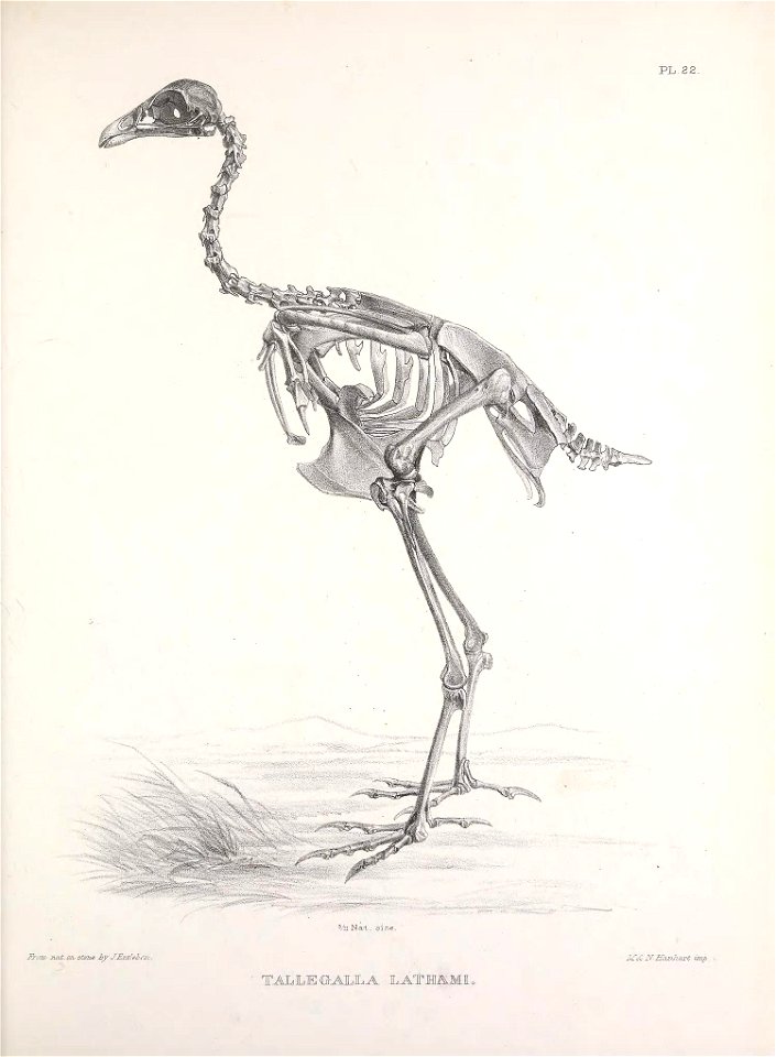 n194_w1150