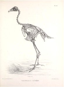 n194_w1150