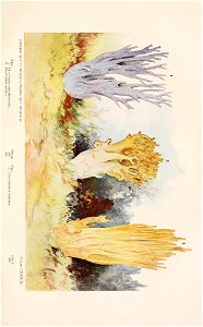 n676_w1150