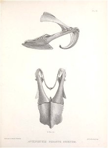 n192_w1150