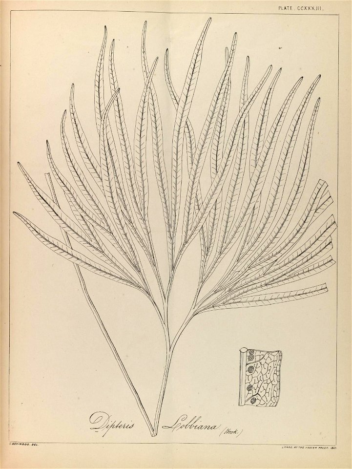 n106_w1150
