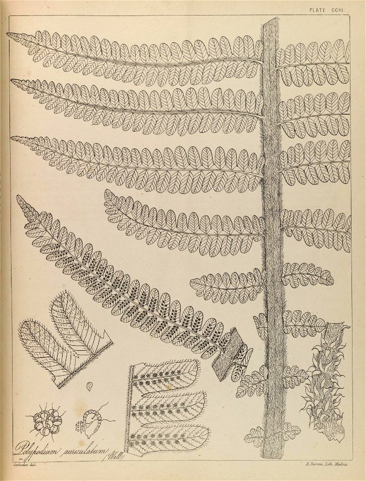 n46_w1150