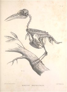 n158_w1150