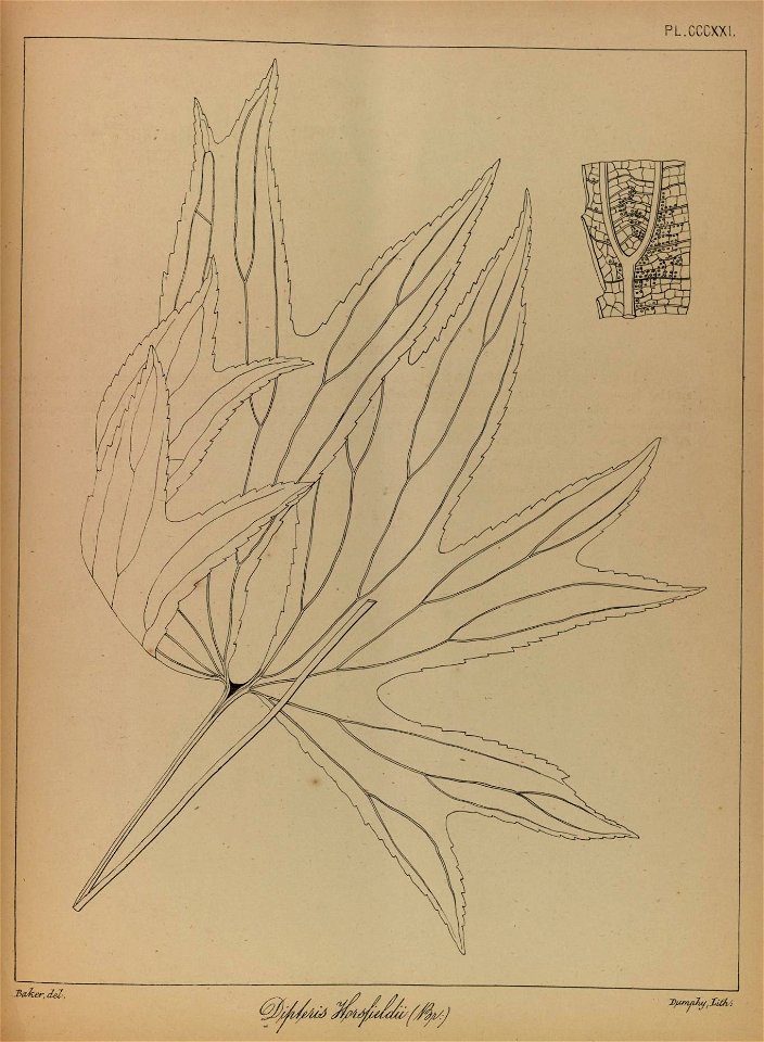 n282_w1150