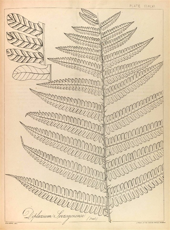 n132_w1150