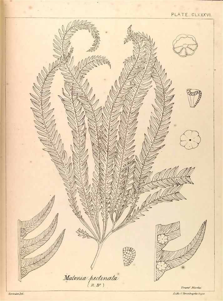 n12_w1150