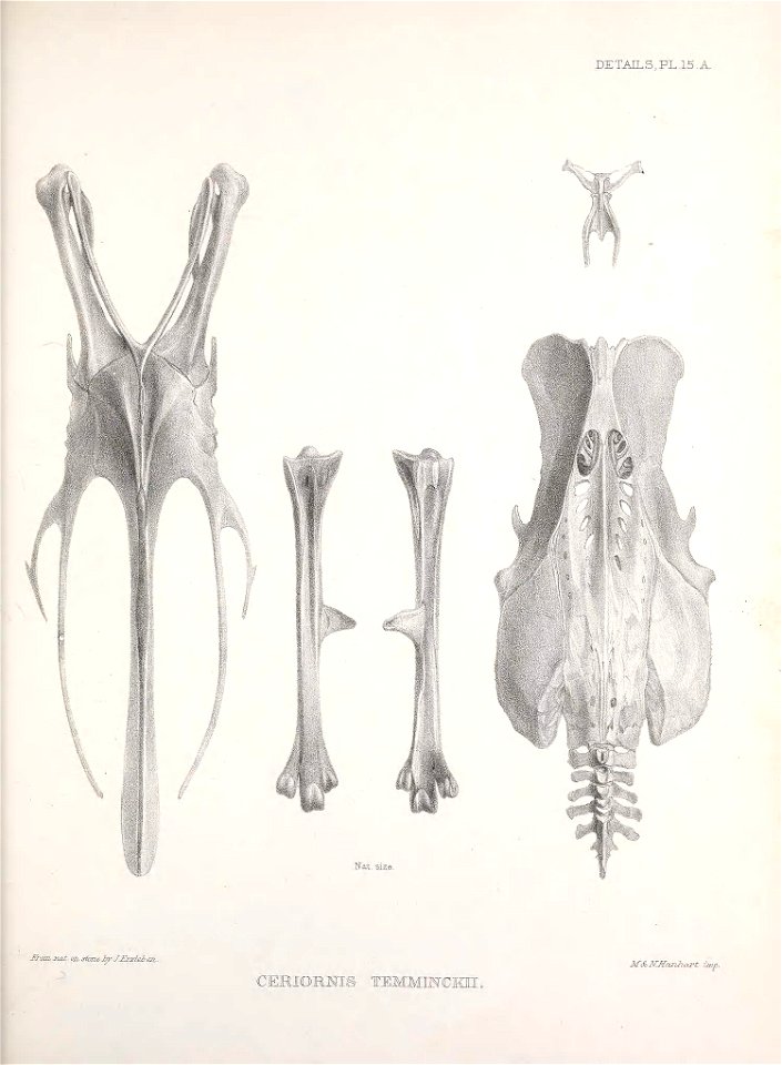 n172_w1150